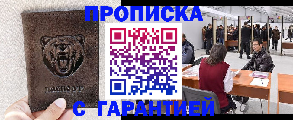 временная регистрация поиск в Тереке